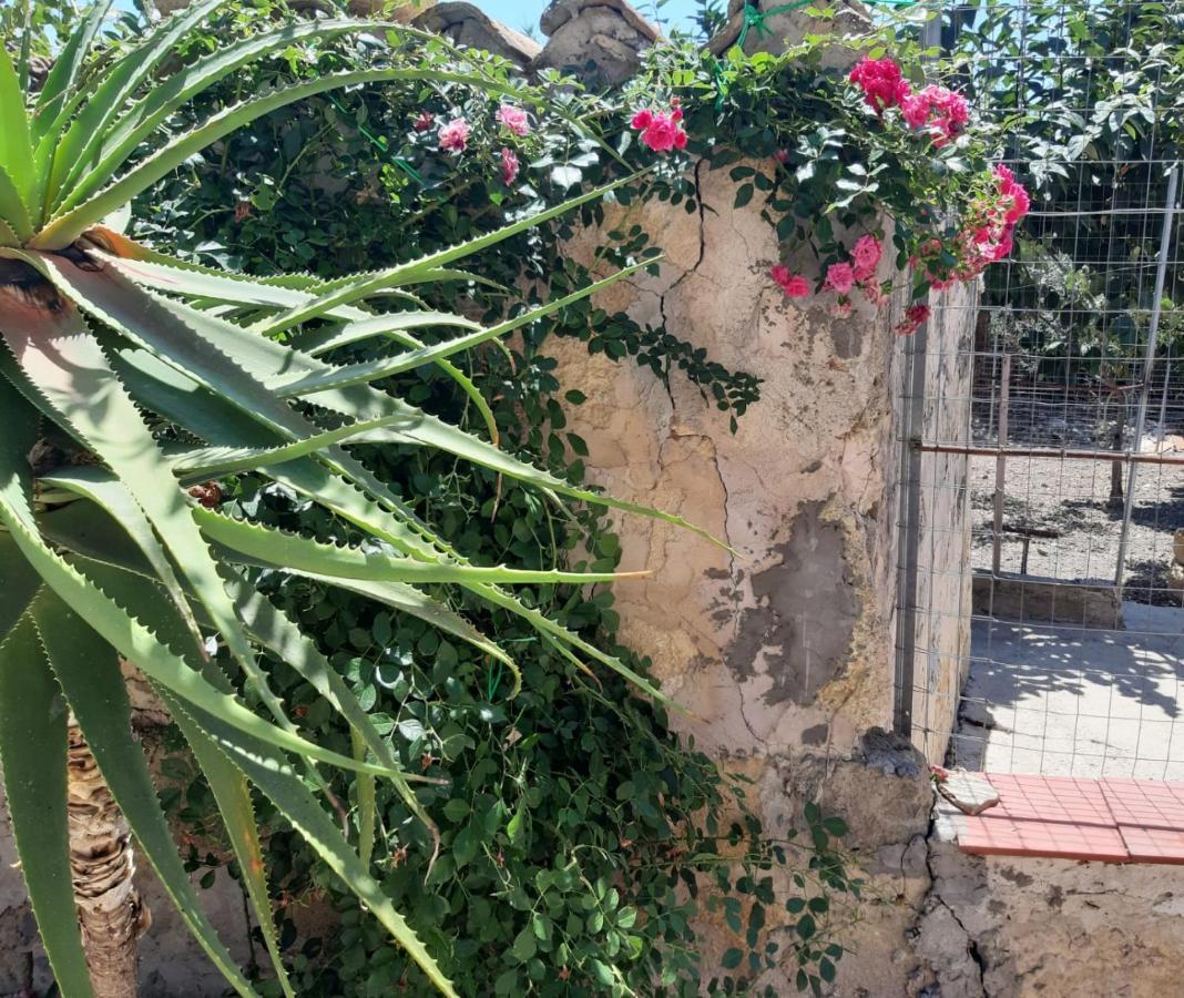 La Casa In Campagna Apartment Chiesa Nuova  Exterior foto